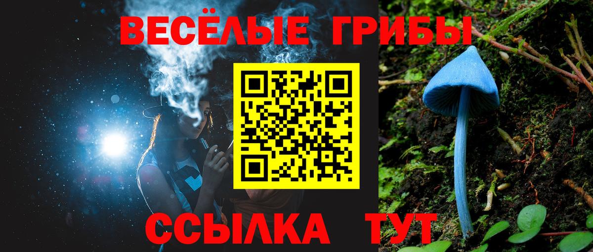 Галлюциногенные грибы мухоморы Кинель