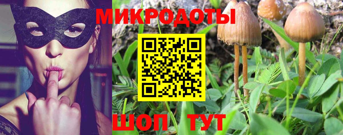Галлюциногенные грибы MAGIC MUSHROOMS  Вход с VPN  купить наркотики цена  Кинель  Псилоцибиновые грибы прущие грибы 